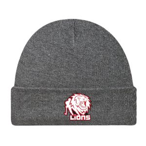 Tuque, gris foncé, jeune